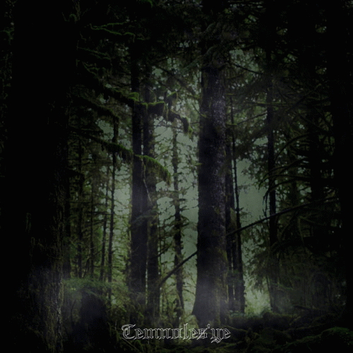 Dead Wasteland : Temnoles'ye